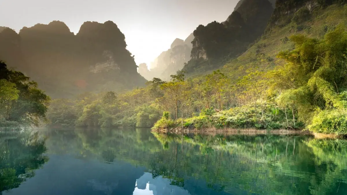 高标准绿色